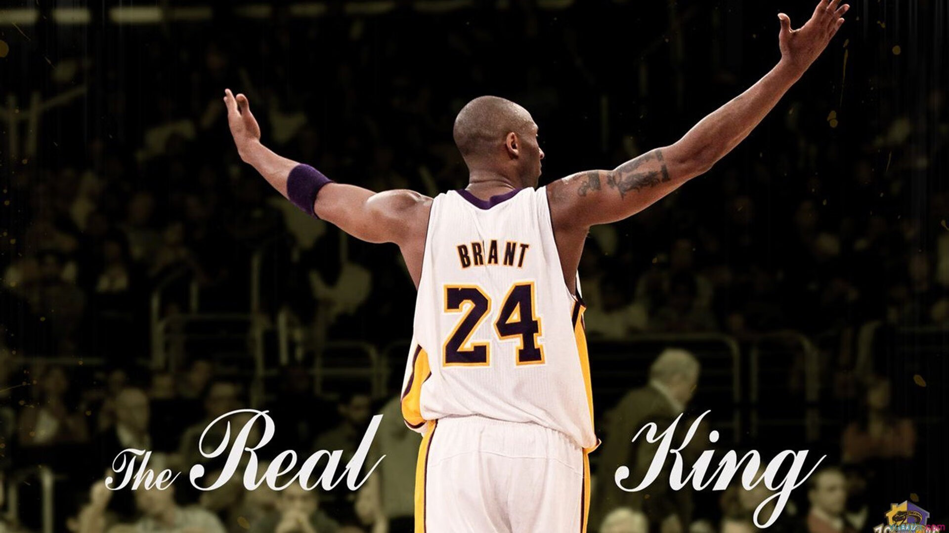 乔·莫伊：全黑队的scrum主宰，在攻防转换中提供关键保障，乔伊百科